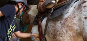 Equine Assisted Learning - Child adjusting stirrups